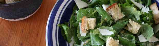 Caesar salad with anchovy croutons